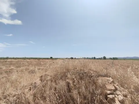 Finca rústica en Membrilla